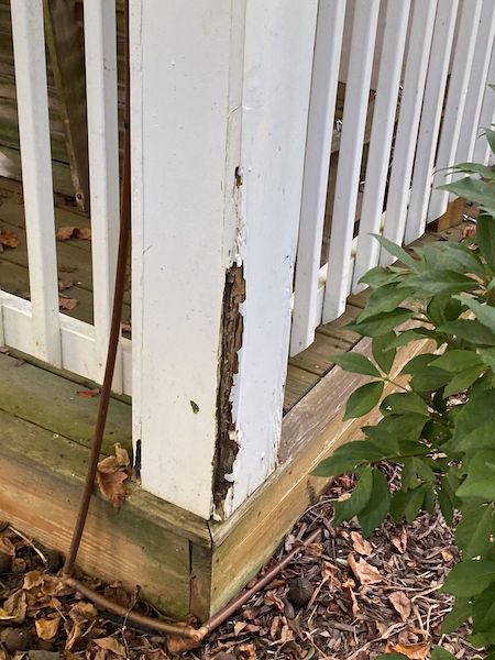 Multi-Unit Porch & Exterior Pressure Washing: photo 15 of 23