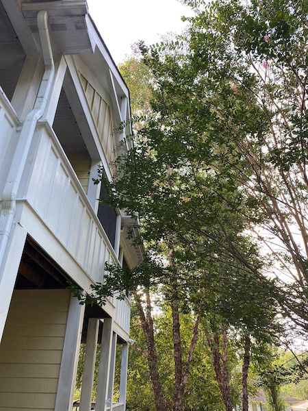 Multi-Unit Porch & Exterior Pressure Washing: photo 18 of 23