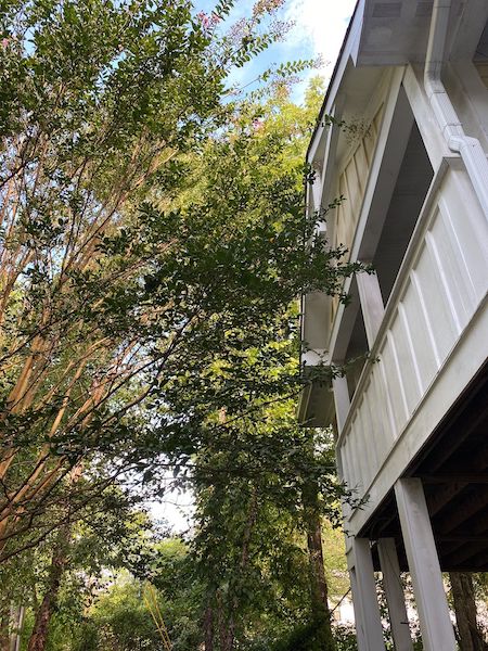Multi-Unit Porch & Exterior Pressure Washing: photo 19 of 23