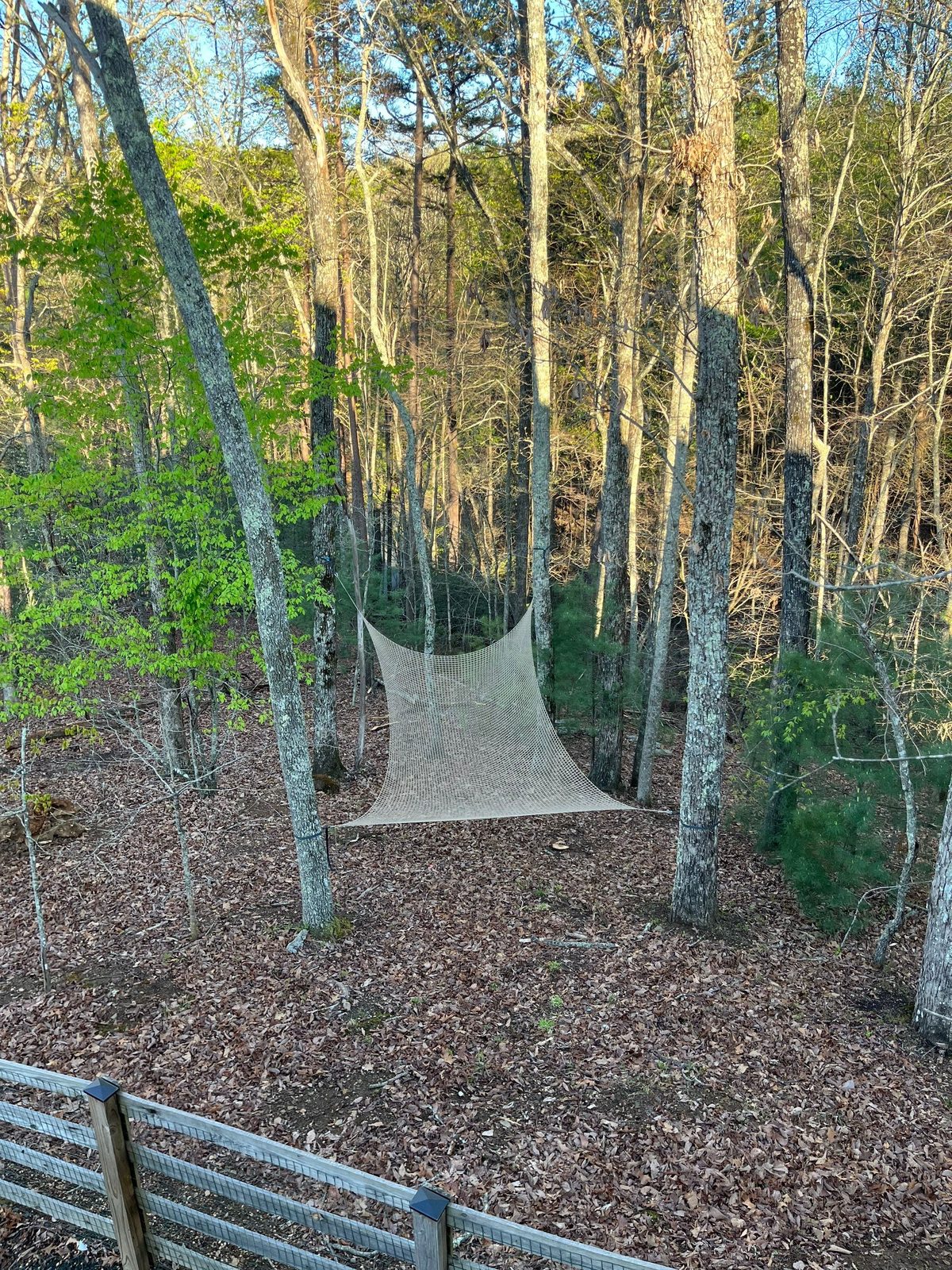 North Georgia Airbnb Cabin Remodel: photo 11 of 20