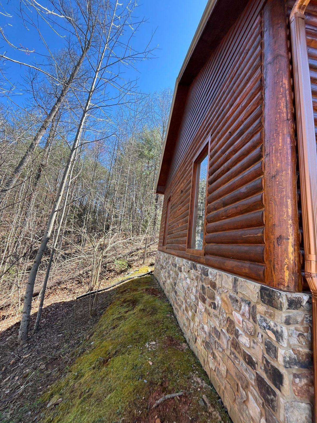 Clean log siding and stone foundation after mold and mildew treatment in Blue Ridge, GA